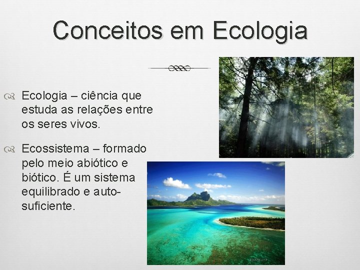 Conceitos em Ecologia – ciência que estuda as relações entre os seres vivos. Ecossistema