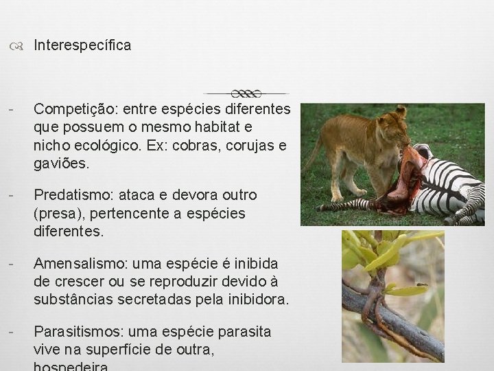  Interespecífica - Competição: entre espécies diferentes que possuem o mesmo habitat e nicho