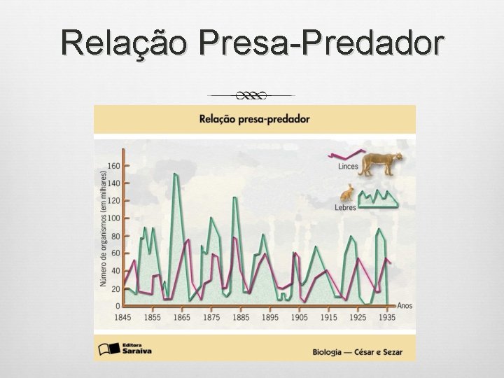 Relação Presa-Predador 