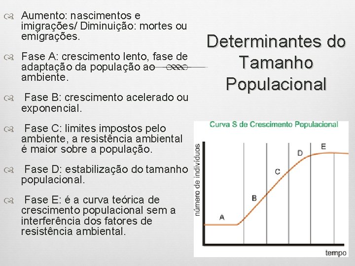  Aumento: nascimentos e imigrações/ Diminuição: mortes ou emigrações. Fase A: crescimento lento, fase