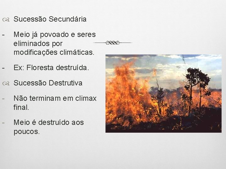  Sucessão Secundária - Meio já povoado e seres eliminados por modificações climáticas. -