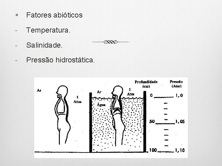 § Fatores abióticos - Temperatura. - Salinidade. - Pressão hidrostática. 