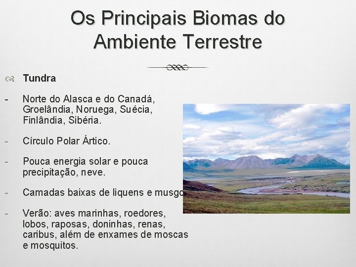 Os Principais Biomas do Ambiente Terrestre Tundra - Norte do Alasca e do Canadá,