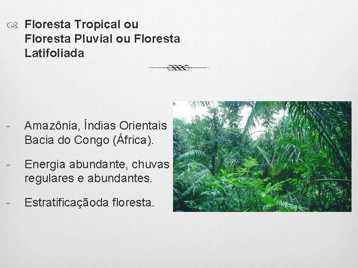  Floresta Tropical ou Floresta Pluvial ou Floresta Latifoliada - Amazônia, Índias Orientais Bacia