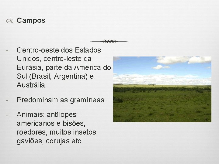  Campos - Centro-oeste dos Estados Unidos, centro-leste da Eurásia, parte da América do