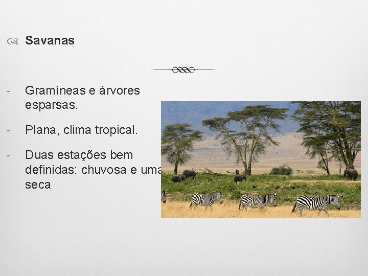  Savanas - Gramíneas e árvores esparsas. - Plana, clima tropical. - Duas estações