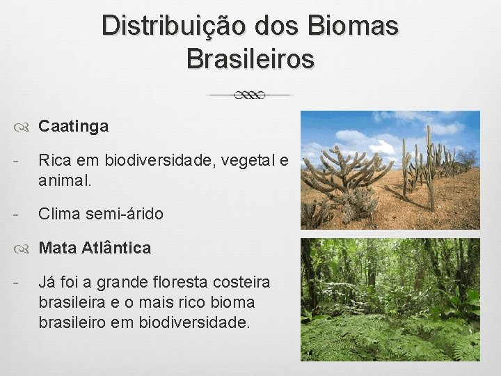Distribuição dos Biomas Brasileiros Caatinga - Rica em biodiversidade, vegetal e animal. - Clima