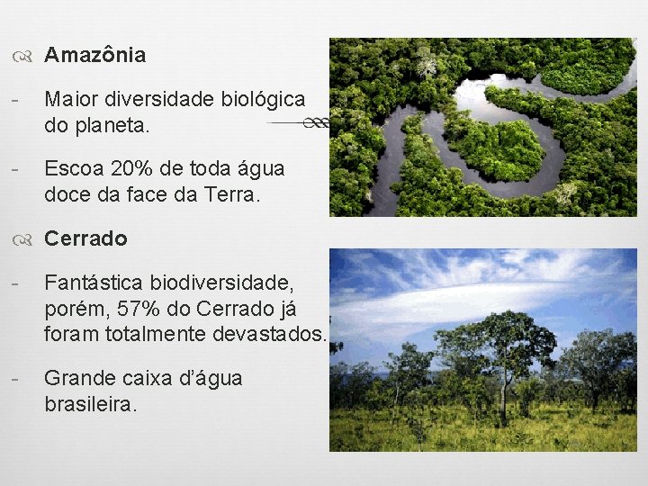  Amazônia - Maior diversidade biológica do planeta. - Escoa 20% de toda água