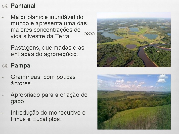  Pantanal - Maior planície inundável do mundo e apresenta uma das maiores concentrações