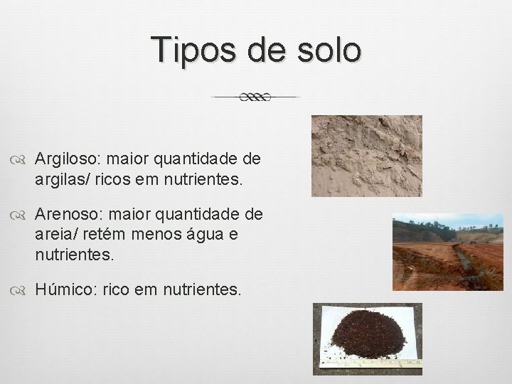 Tipos de solo Argiloso: maior quantidade de argilas/ ricos em nutrientes. Arenoso: maior quantidade