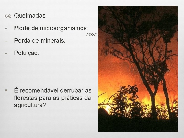  Queimadas - Morte de microorganismos. - Perda de minerais. - Poluição. § É