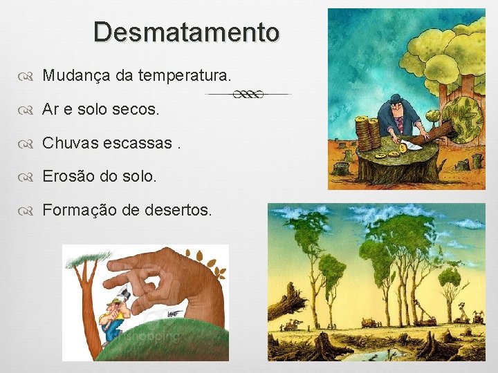 Desmatamento Mudança da temperatura. Ar e solo secos. Chuvas escassas. Erosão do solo. Formação