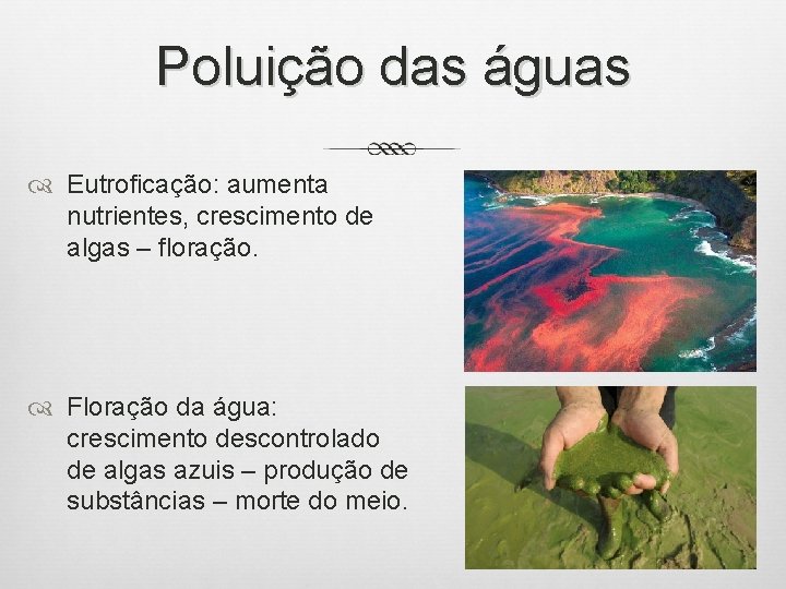 Poluição das águas Eutroficação: aumenta nutrientes, crescimento de algas – floração. Floração da água: