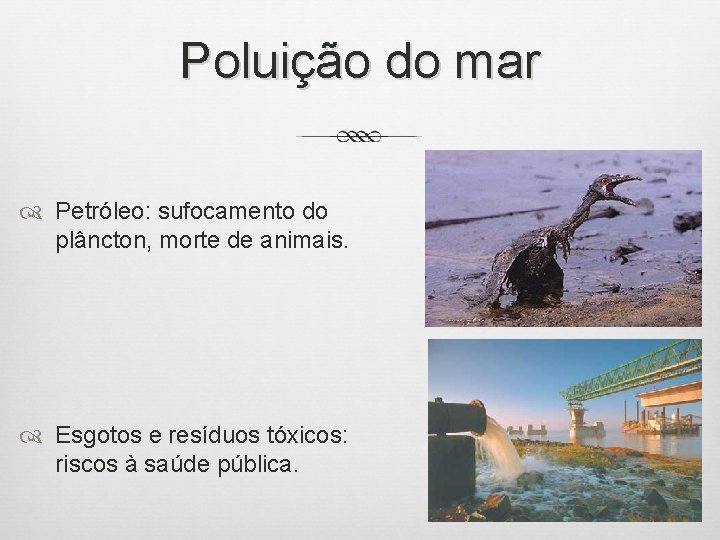 Poluição do mar Petróleo: sufocamento do plâncton, morte de animais. Esgotos e resíduos tóxicos: