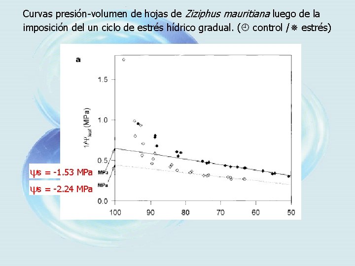 Curvas presión-volumen de hojas de Ziziphus mauritiana luego de la imposición del un ciclo