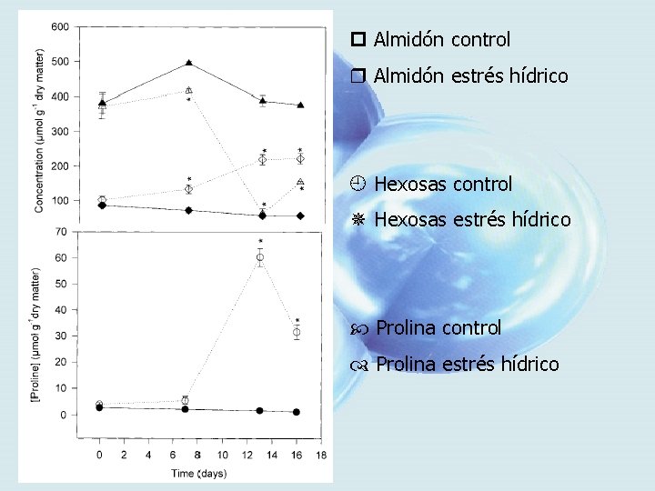  Almidón control Almidón estrés hídrico Hexosas control Hexosas estrés hídrico Prolina control Prolina