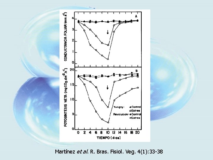 Martínez et al. R. Bras. Fisiol. Veg. 4(1): 33 -38 