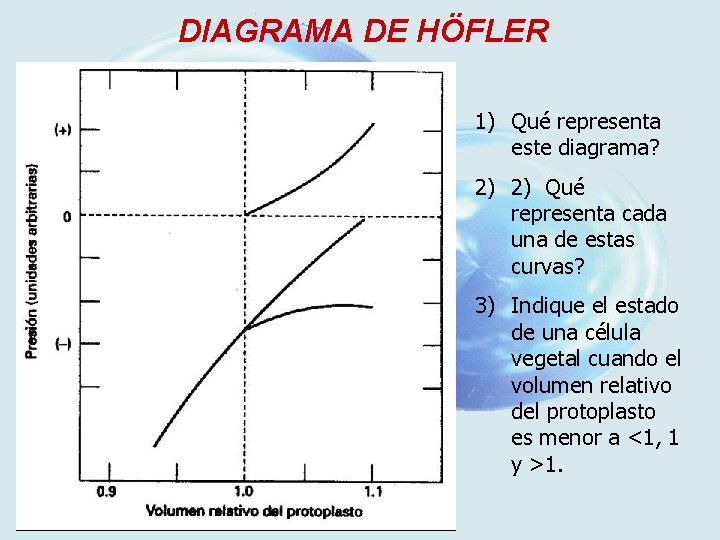 DIAGRAMA DE HÖFLER 1) Qué representa este diagrama? 2) 2) Qué representa cada una
