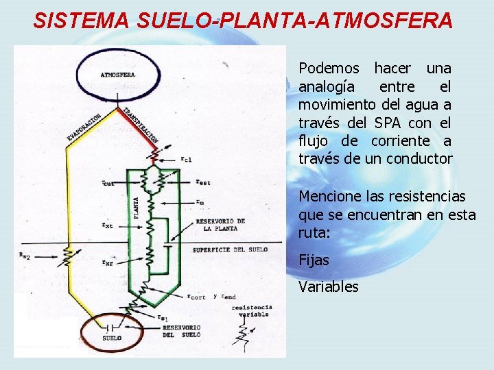 SISTEMA SUELO-PLANTA-ATMOSFERA Podemos hacer una analogía entre el movimiento del agua a través del