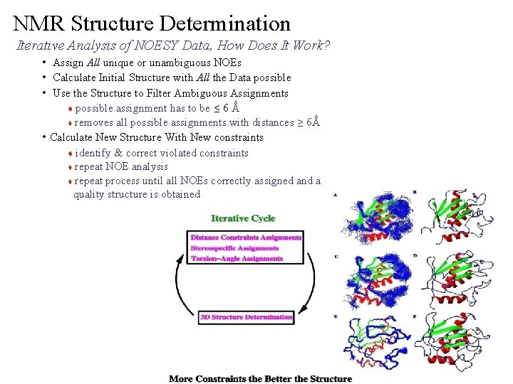 NMR Structure Determination Iterative Analysis of NOESY Data, How Does It Work? • Assign NMR Structure Determination Iterative Analysis of NOESY Data, How Does It Work? • Assign