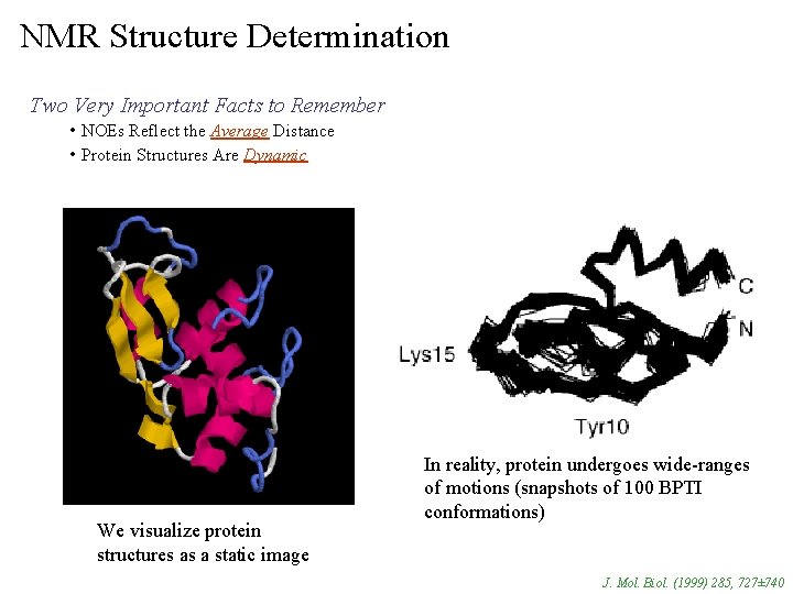 NMR Structure Determination Two Very Important Facts to Remember • NOEs Reflect the Average