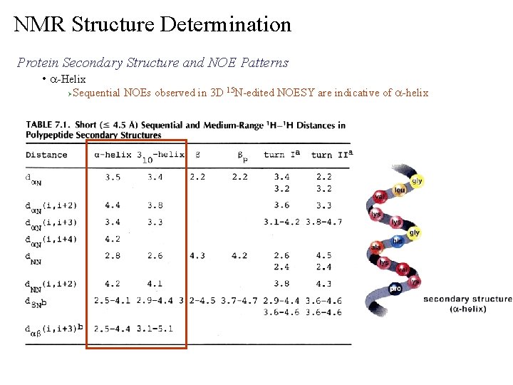 NMR Structure Determination Protein Secondary Structure and NOE Patterns • a-Helix Ø Sequential NOEs