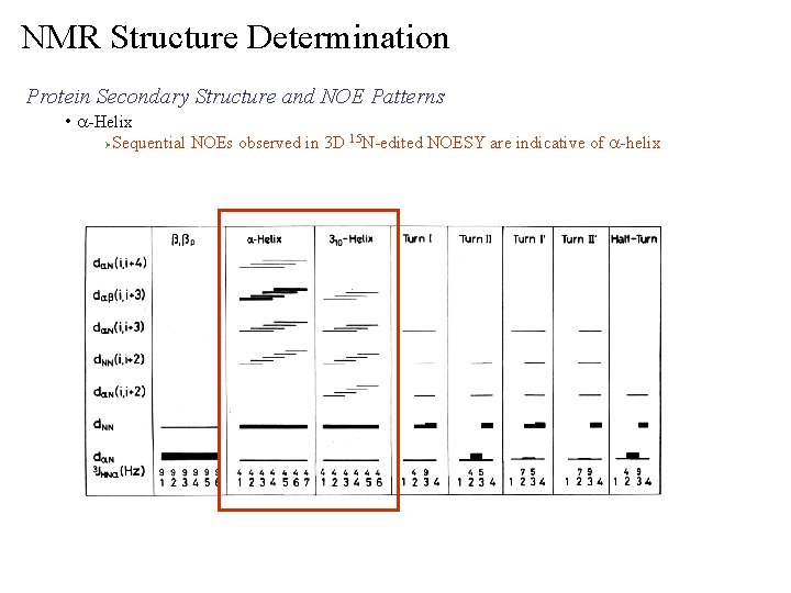 NMR Structure Determination Protein Secondary Structure and NOE Patterns • a-Helix Ø Sequential NOEs