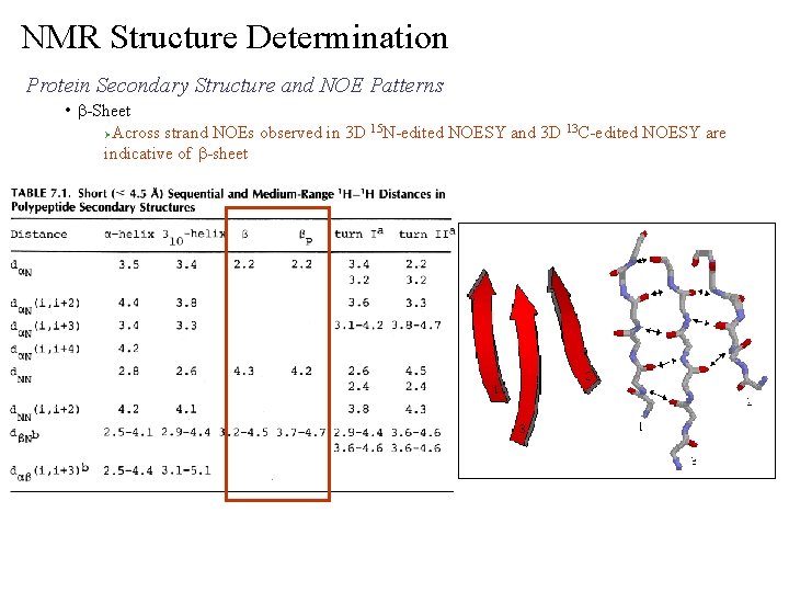 NMR Structure Determination Protein Secondary Structure and NOE Patterns • b-Sheet Across strand NOEs