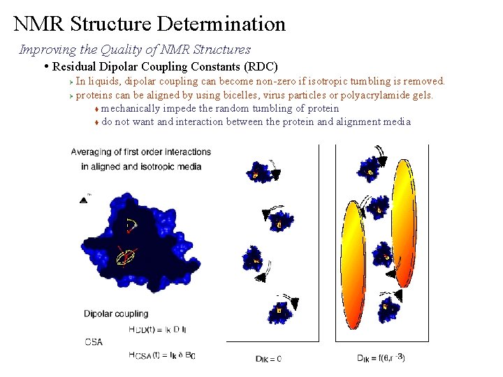 NMR Structure Determination Improving the Quality of NMR Structures • Residual Dipolar Coupling Constants