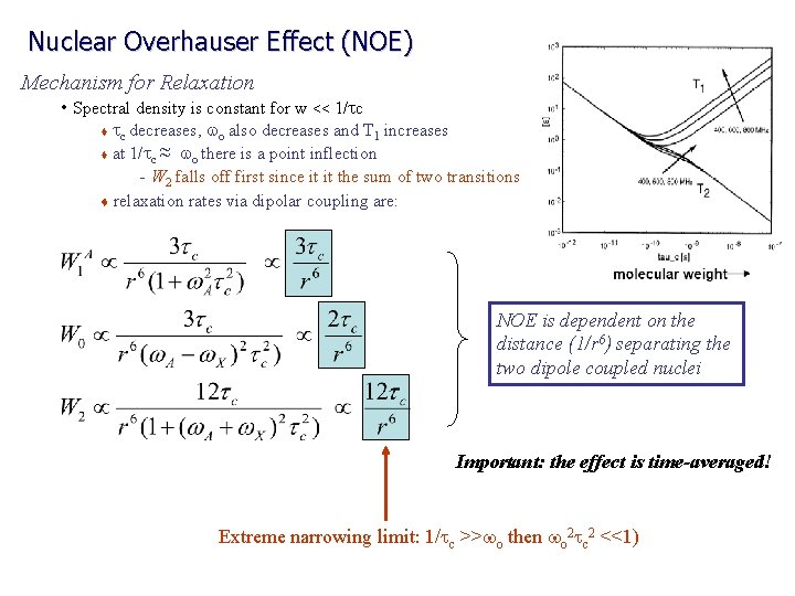 Nuclear Overhauser Effect (NOE) Mechanism for Relaxation • Spectral density is constant for w