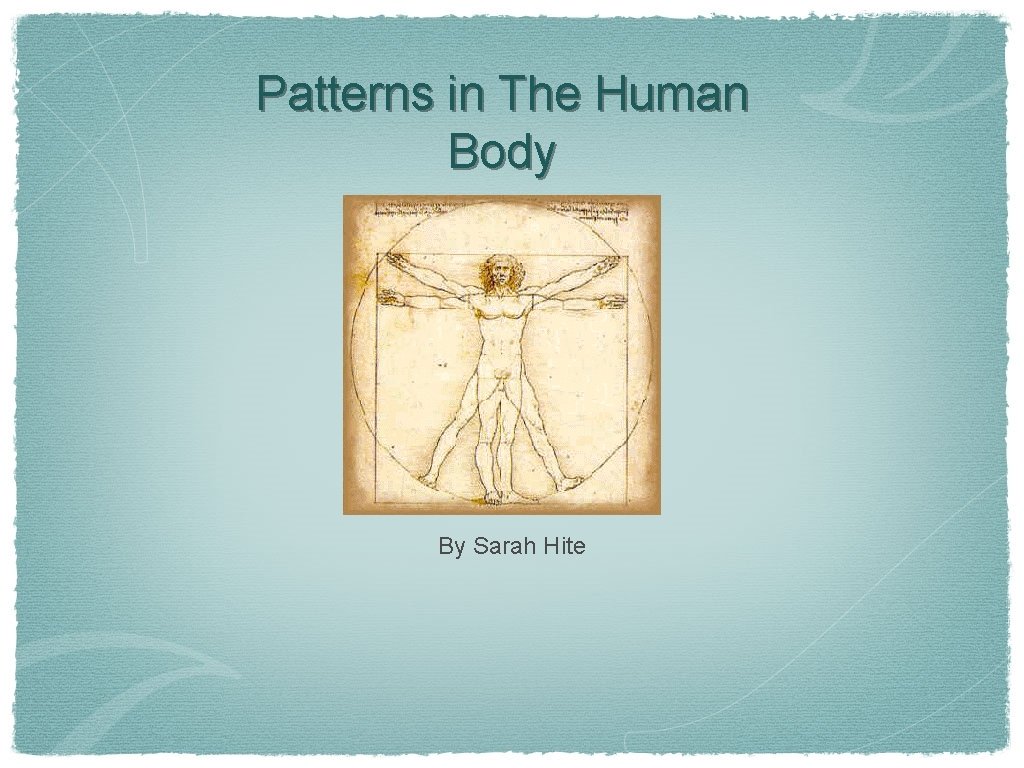 Patterns in The Human Body By Sarah Hite 