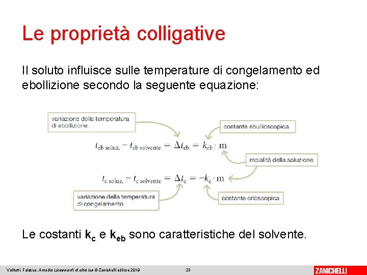 Le proprietà colligative Il soluto influisce sulle temperature di congelamento ed ebollizione secondo la