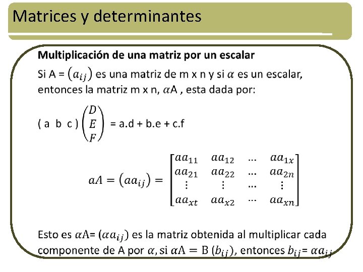 Matrices y determinantes • 