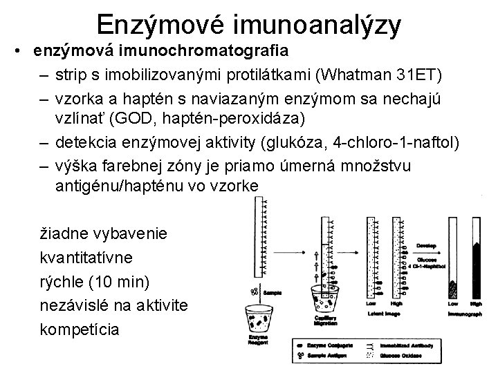 Enzýmové imunoanalýzy • enzýmová imunochromatografia – strip s imobilizovanými protilátkami (Whatman 31 ET) –