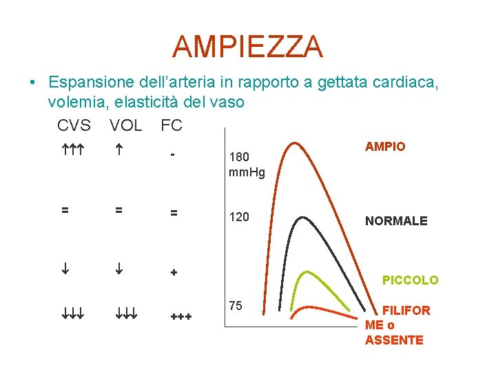 AMPIEZZA • Espansione dell’arteria in rapporto a gettata cardiaca, volemia, elasticità del vaso CVS