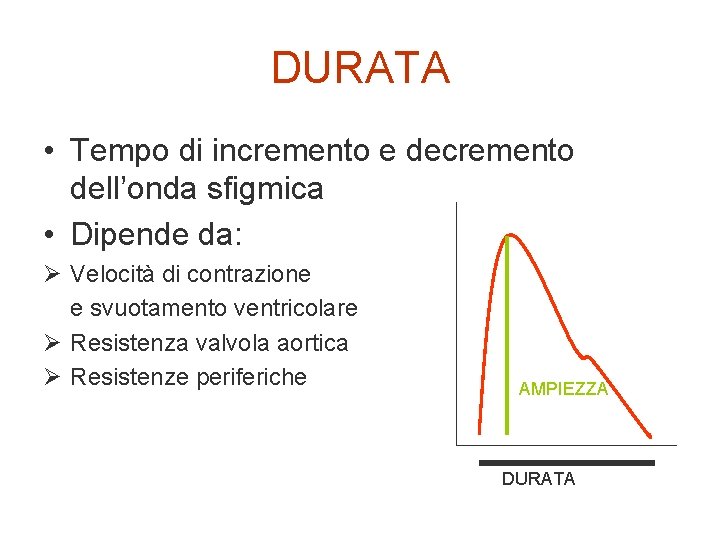 DURATA • Tempo di incremento e decremento dell’onda sfigmica • Dipende da: Ø Velocità