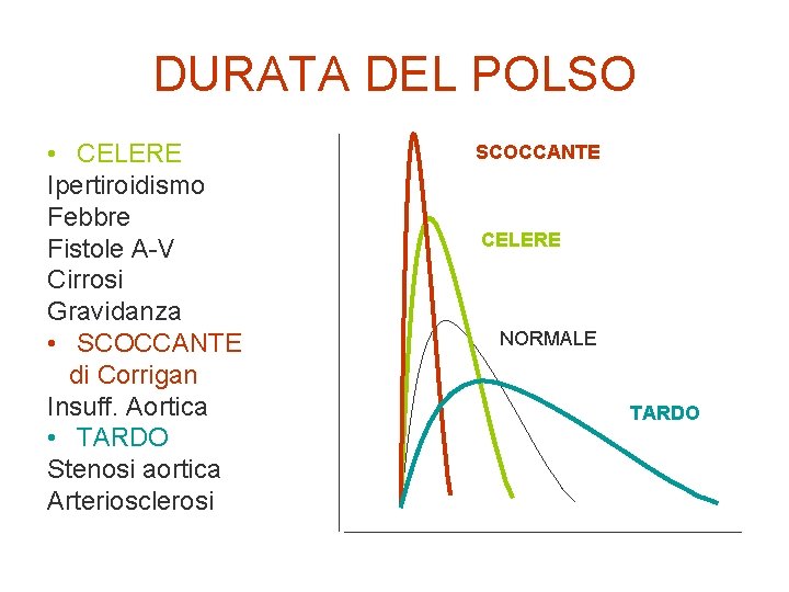 DURATA DEL POLSO • CELERE Ipertiroidismo Febbre Fistole A-V Cirrosi Gravidanza • SCOCCANTE di