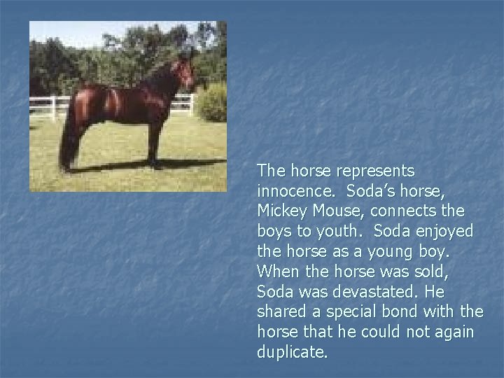 The horse represents innocence. Soda’s horse, Mickey Mouse, connects the boys to youth. Soda