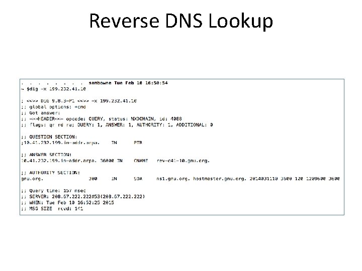 Reverse DNS Lookup 