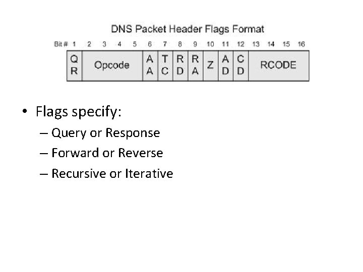  • Flags specify: – Query or Response – Forward or Reverse – Recursive