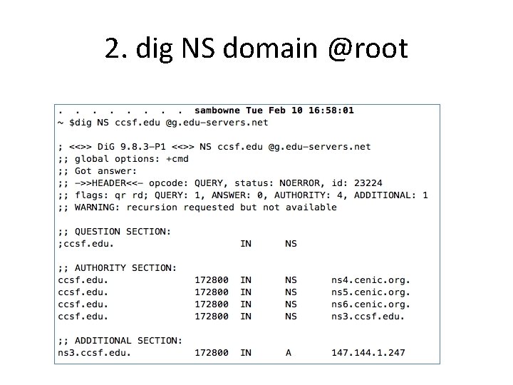 2. dig NS domain @root 