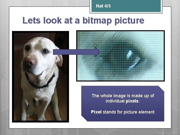 Nat 4/5 Lets look at a bitmap picture The whole image is made up