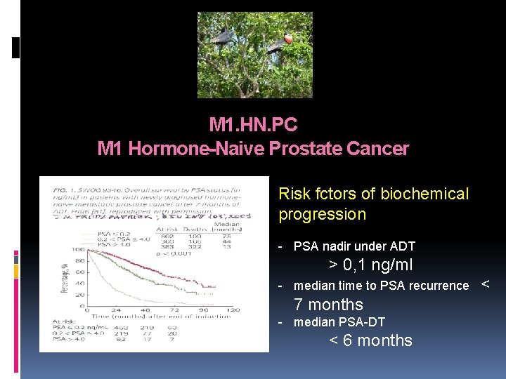 M 1. HN. PC M 1 Hormone-Naive Prostate Cancer Risk fctors of biochemical progression M 1. HN. PC M 1 Hormone-Naive Prostate Cancer Risk fctors of biochemical progression