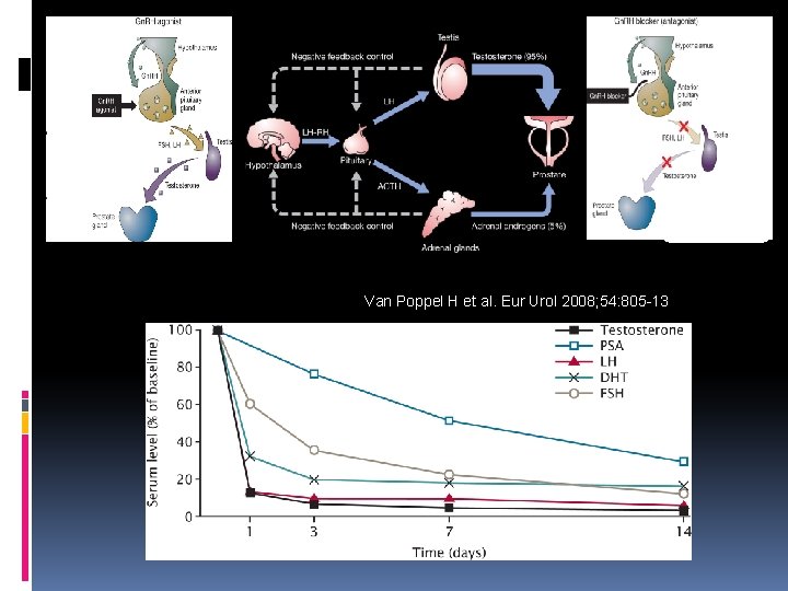 Van Poppel H et al. Eur Urol 2008; 54: 805 -13 Van Poppel H et al. Eur Urol 2008; 54: 805 -13