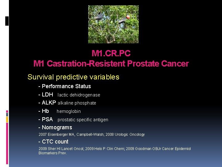 M 1. CR. PC M 1 Castration-Resistent Prostate Cancer Survival predictive variables - Performance M 1. CR. PC M 1 Castration-Resistent Prostate Cancer Survival predictive variables - Performance