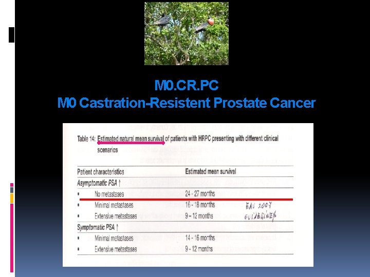 M 0. CR. PC M 0 Castration-Resistent Prostate Cancer M 0. CR. PC M 0 Castration-Resistent Prostate Cancer