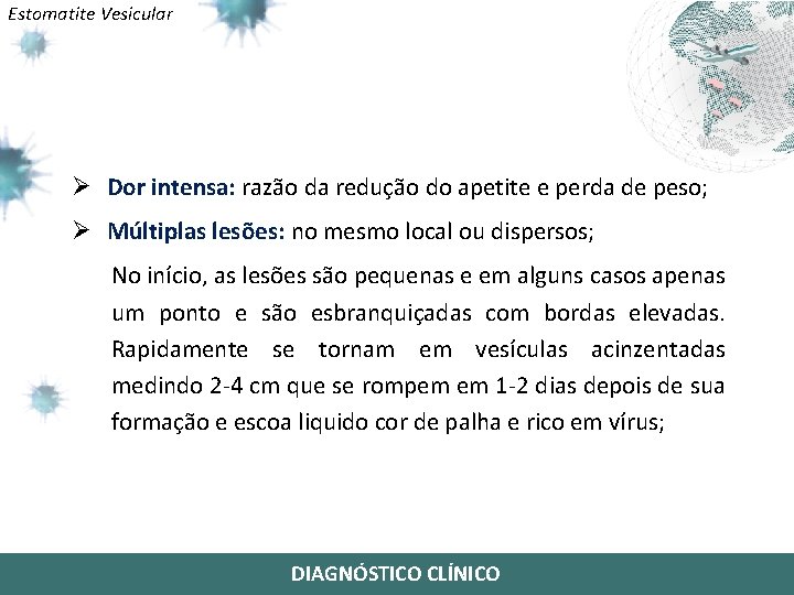 Estomatite Vesicular Ø Dor intensa: razão da redução do apetite e perda de peso;