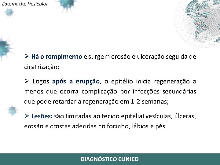 Estomatite Vesicular Ø Há o rompimento e surgem erosão e ulceração seguida de cicatrização;
