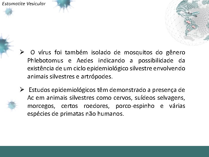 Estomatite Vesicular Ø O vírus foi também isolado de mosquitos do gênero Phlebotomus e