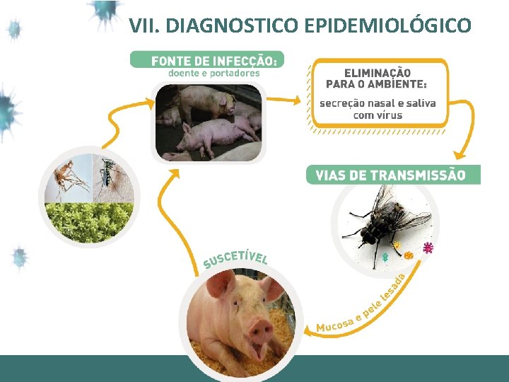VII. DIAGNOSTICO EPIDEMIOLÓGICO 